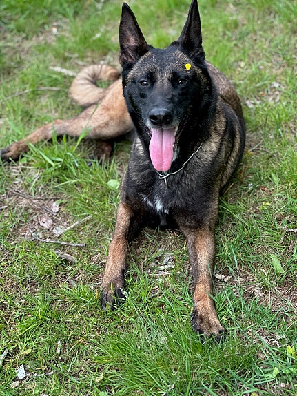 Product image 9 of 9