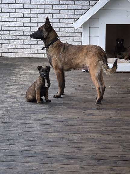 Product image 5 of 9