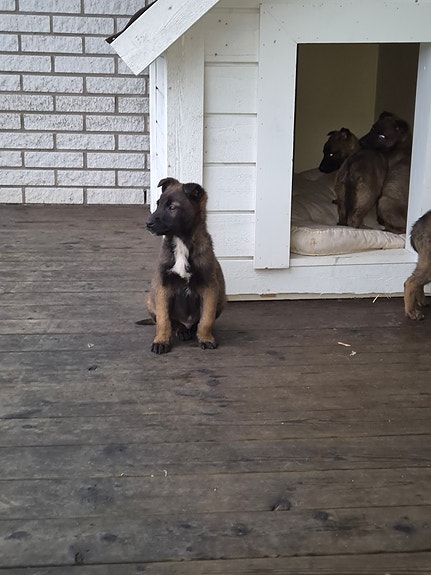 Product image 4 of 9