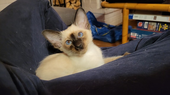 Product image 9 of 9