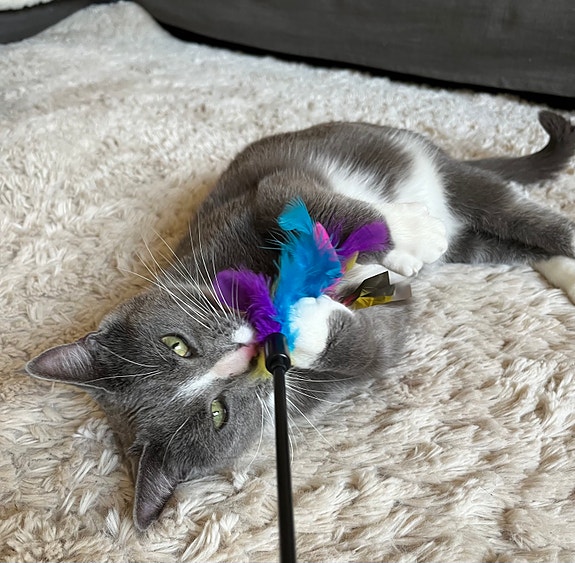 Product image 5 of 7