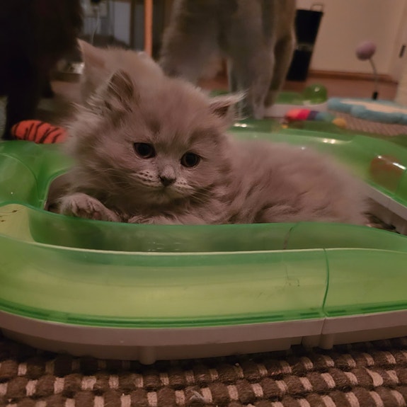 Product image 6 of 8