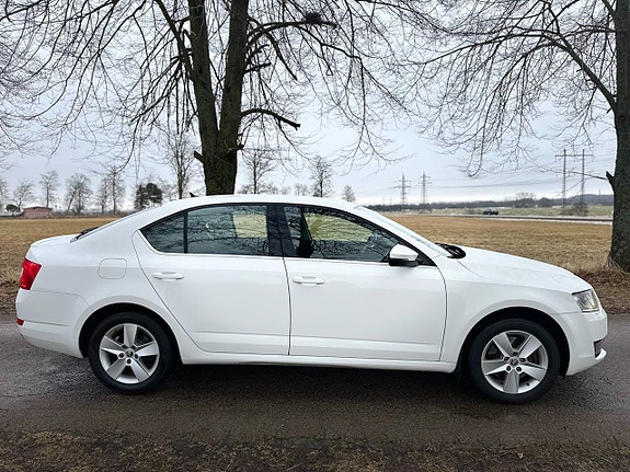 Skoda Octavia 8 of 17