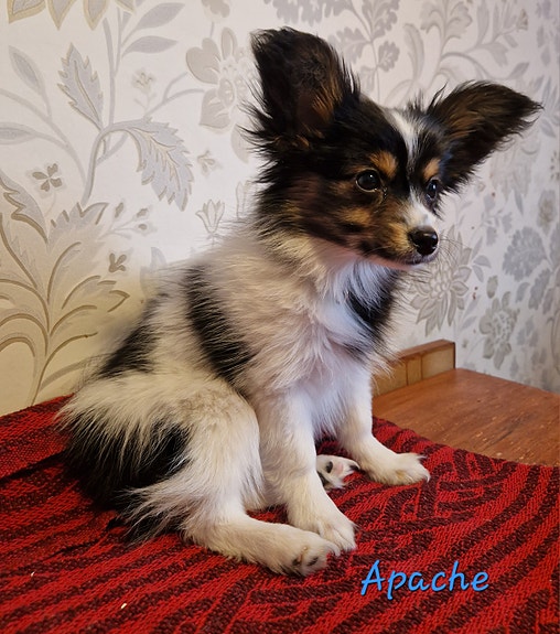 Product image 3 of 6