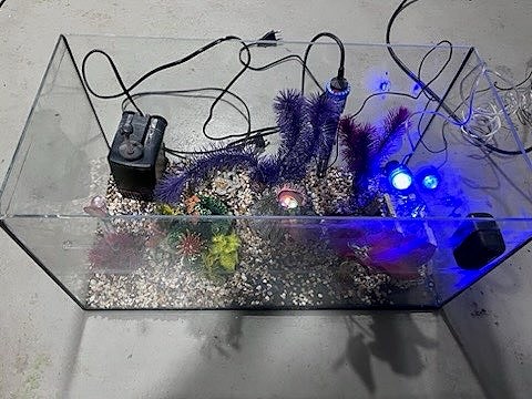 Product image 3 of 10