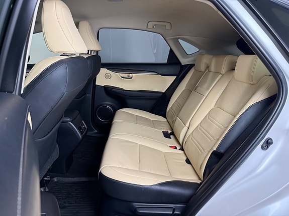 Lexus NX300h 11 of 22