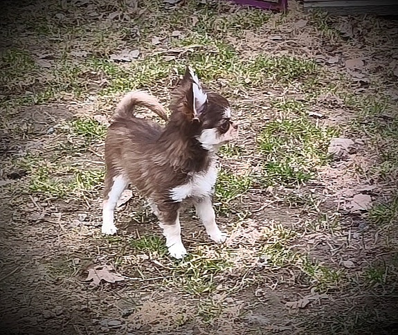 Product image 7 of 10