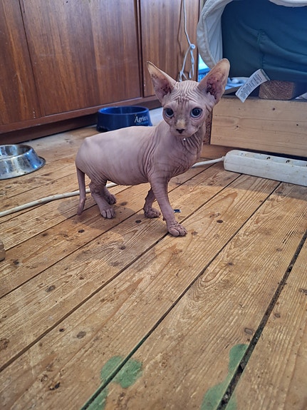 Product image 4 of 4