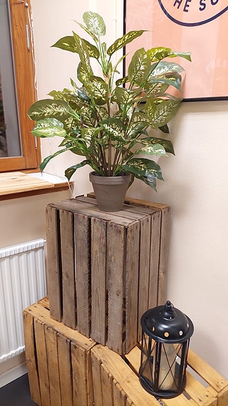 Product image 20 of 34