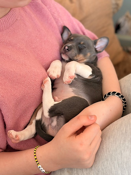 Product image 4 of 8