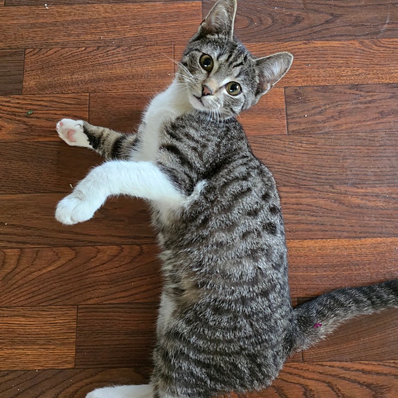 Product image 4 of 4