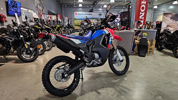 Honda CRF300LR Rally 3 of 12
