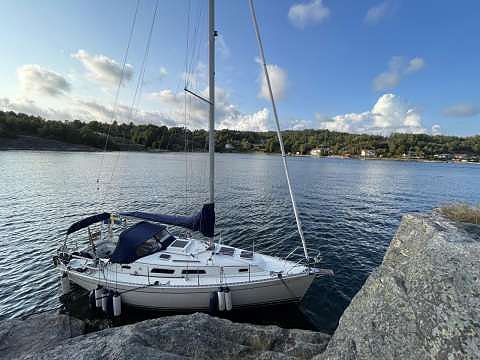Hanse 312 — Vedi foto 1