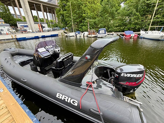 BRIG 650 Eagle | Ribb med attityd