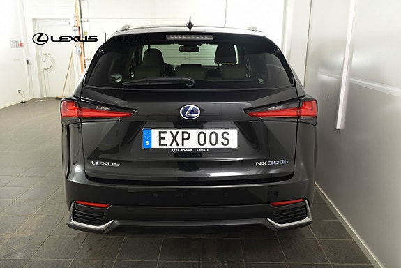 Lexus NX300h 4 of 5