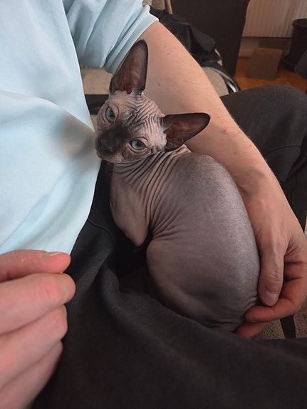 Product image 3 of 10