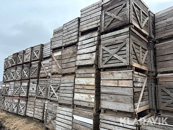 Potatislådor 125 st