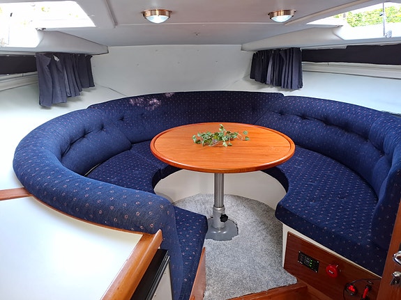 Fjord dolphin 900 3 of 5