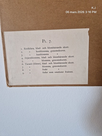 Product image 15 of 15