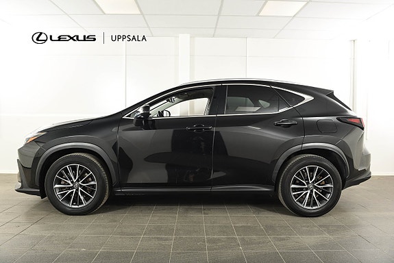 Lexus NX450h+ 3 of 16