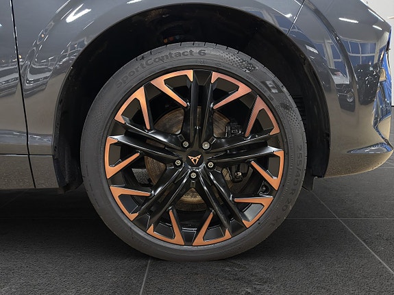 Cupra Terramar 20 of 20