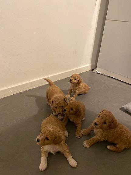 Product image 3 of 8