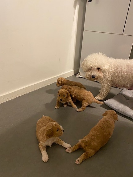 Product image 5 of 8