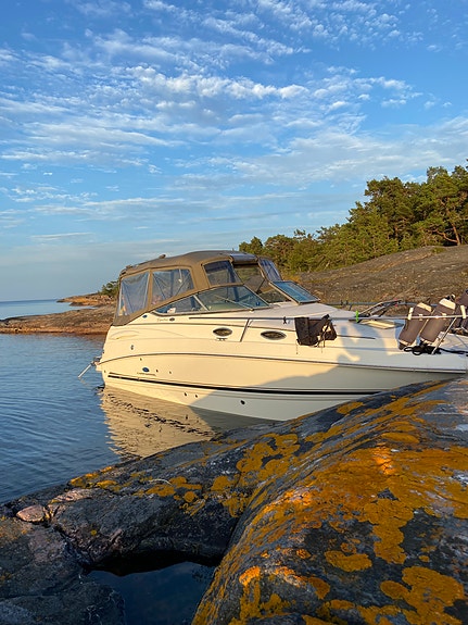 Chaparral 240 Signature – Volvo Penta – Bogpropeller & Ankarspel 3 of 5