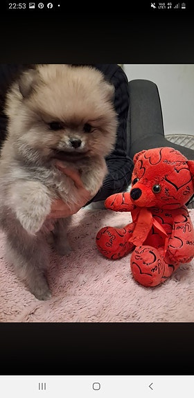 Product image 3 of 9