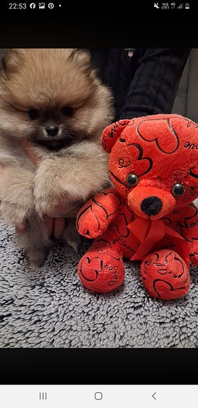 Product image 2 of 9