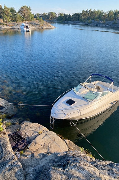 Välskött Sea Ray 240 Weekender 3 of 10