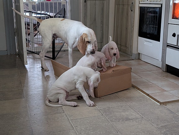 Product image 3 of 10