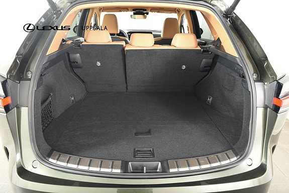Lexus NX450h+ 10 of 22