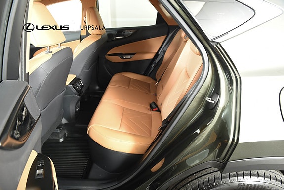 Lexus NX450h+ 7 of 22