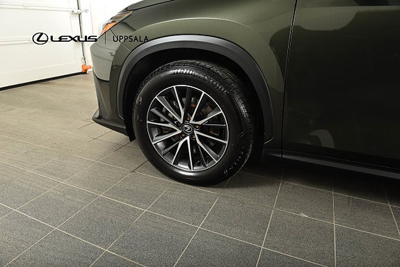 Lexus NX450h+ 20 of 22