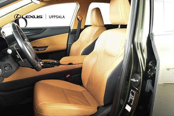 Lexus NX450h+ 6 of 22
