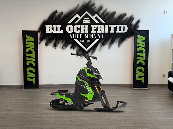 Arctic Cat WS 250 2 of 2