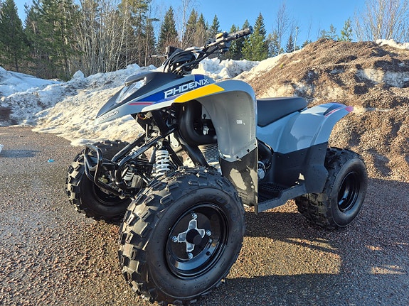 Polaris Phoenix 200