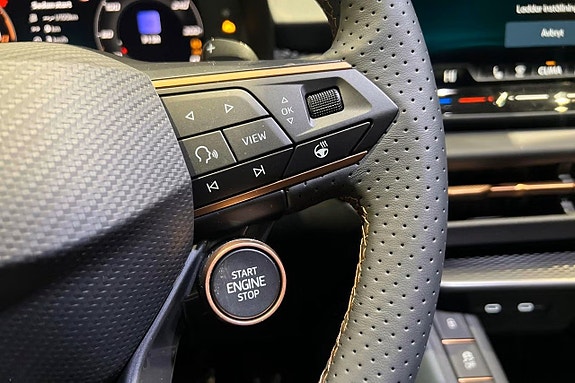 Cupra Terramar 13 of 22