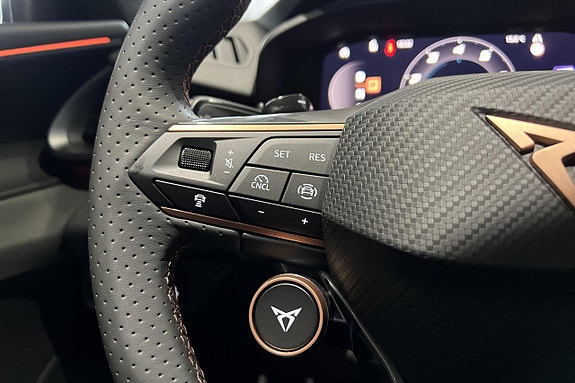 Cupra Terramar 18 of 27