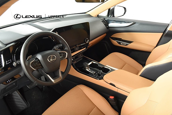 Lexus NX450h+ 6 of 17
