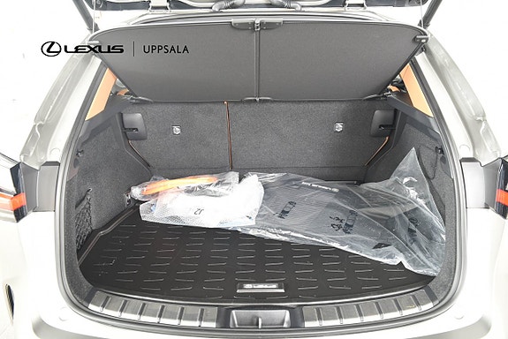 Lexus NX450h+ 9 of 17