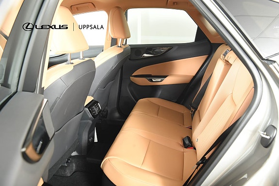 Lexus NX450h+ 7 of 17