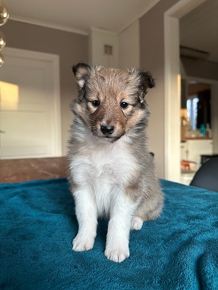 Product image 8 of 10