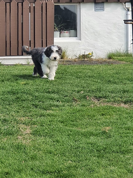 Product image 3 of 9