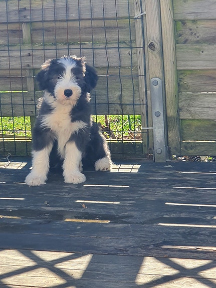 Product image 7 of 9