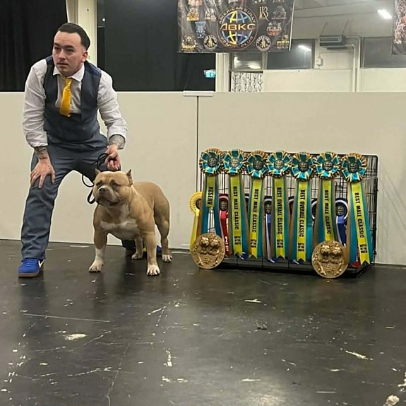 Product image 2 of 8