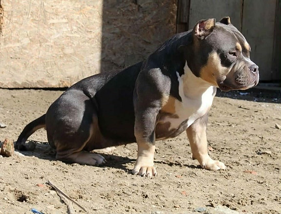 Product image 4 of 8