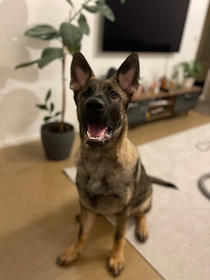 Product image 5 of 8