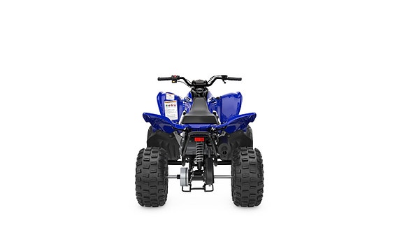 Yamaha YFM110R *OMGÅENDE LEVERANS* 4 of 5